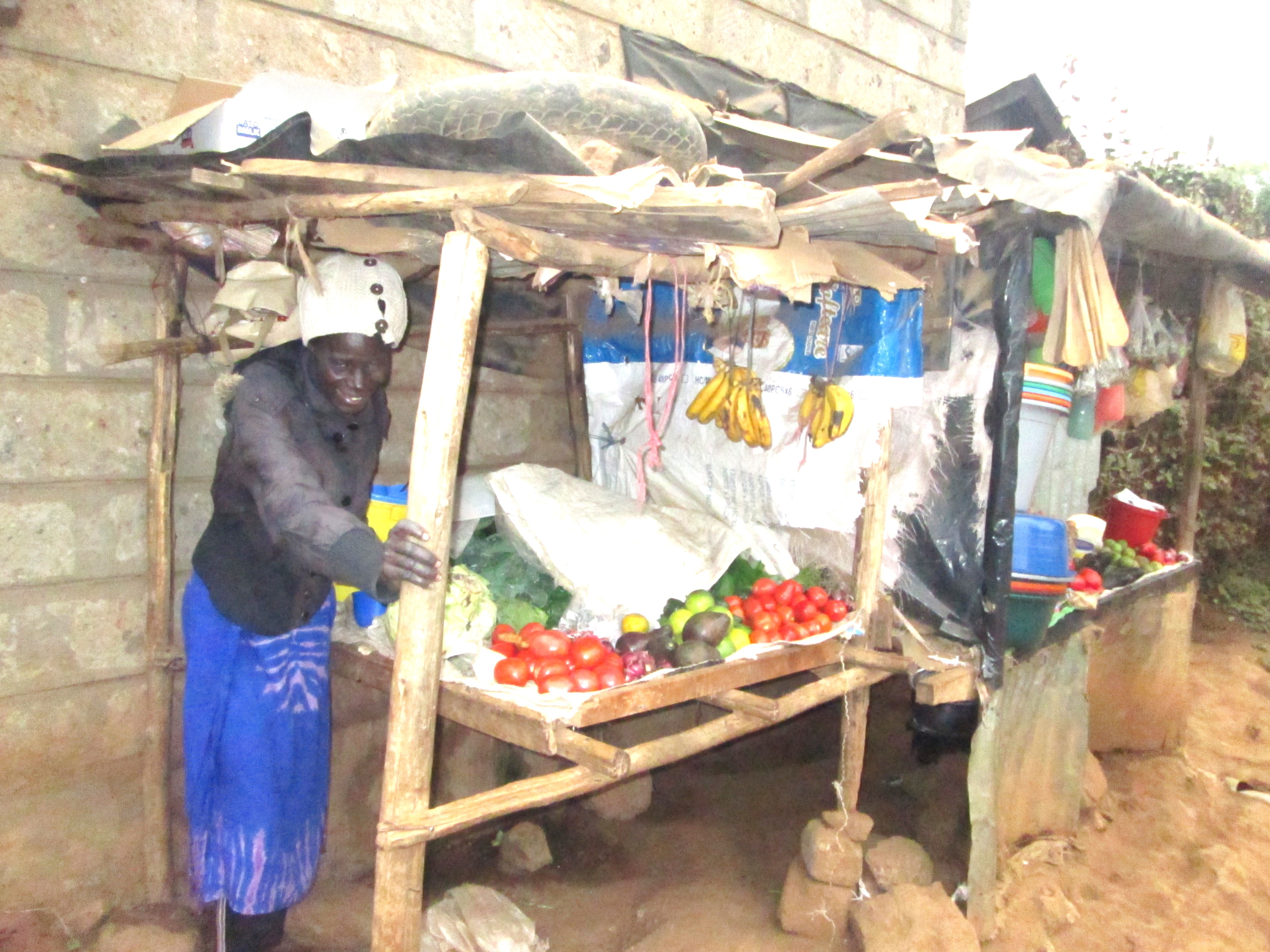 Sustainability Program